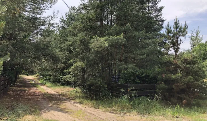 Działka rekreacyjna Ostrowo