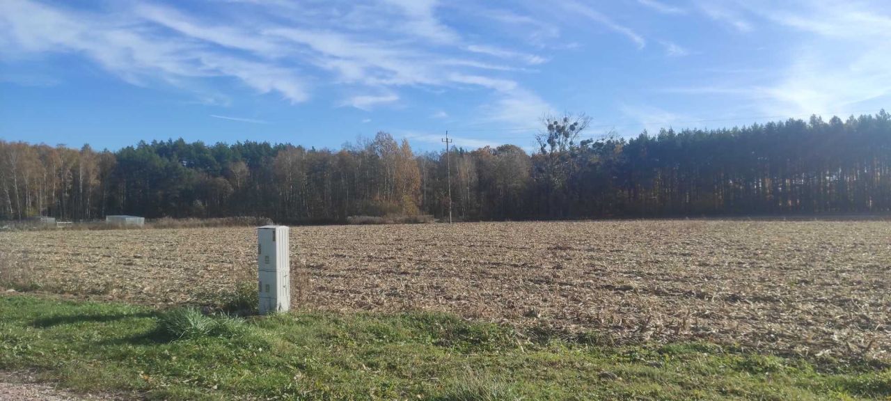 Działka rolna Gzin, ul. Lipowa. Zdjęcie 10