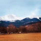 Działka inwestycyjna Miłków. Zdjęcie 1