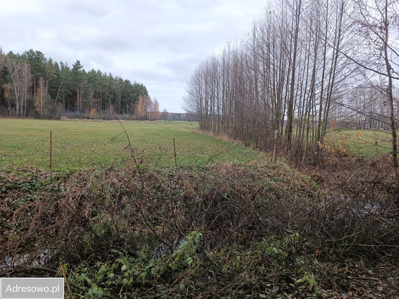 Działka rolna Filochy. Zdjęcie 5