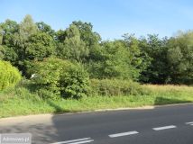 Działka rolna Czepino, ul. Gryfińska. Zdjęcie 4