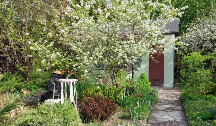 Działka rod Gliwice, ul. Akademicka