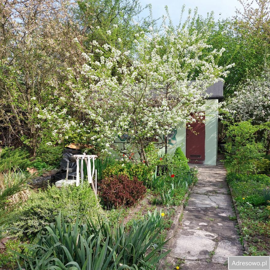 Działka rod Gliwice, ul. Akademicka. Zdjęcie 1