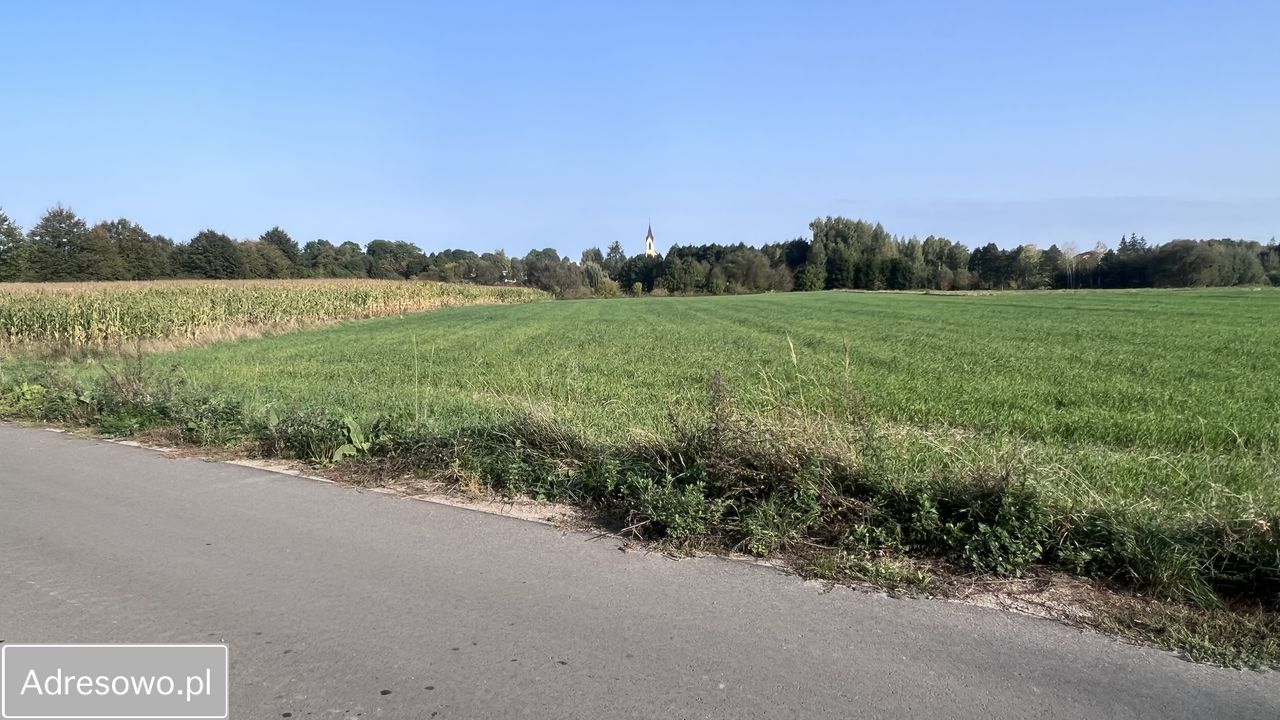 Działka rolno-budowlana Dorohusk-Osada, ul. Wierzbowa. Zdjęcie 3