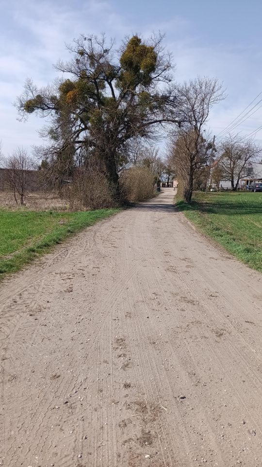 Działka budowlana Dąbrówka. Zdjęcie 2