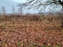 Działka budowlana Orzeszkowo Olszyna. Zdjęcie 2