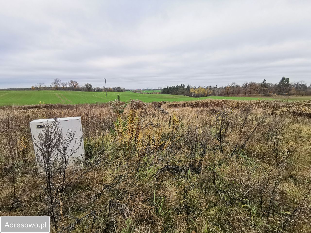 Działka rolno-budowlana Dankowo. Zdjęcie 10