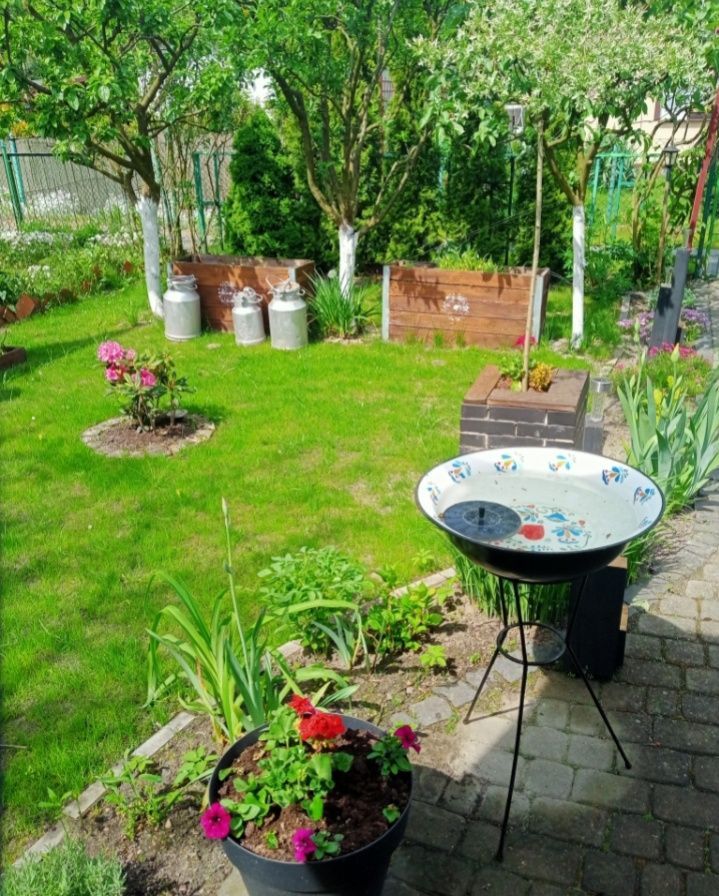 Działka rod Gniezno Centrum. Zdjęcie 5