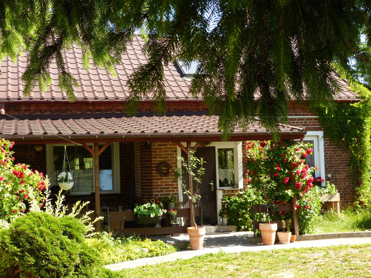 siedlisko, 4 pokoje Kikół-Wieś, Kikół-Wieś. Zdjęcie 1