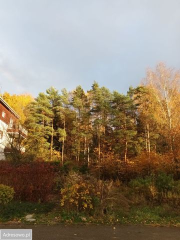 Działka leśna Katowice Panewniki. Zdjęcie 1