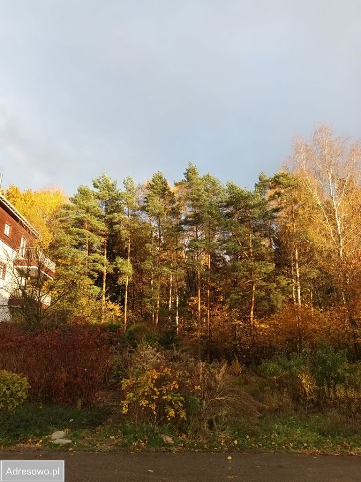 Działka leśna Katowice Panewniki. Zdjęcie 1