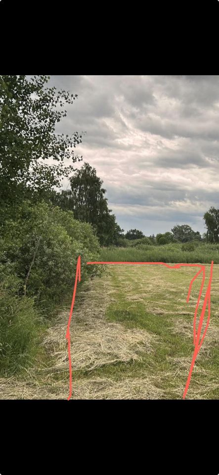 Działka rolna Moście Błota, Betonowa. Zdjęcie 8