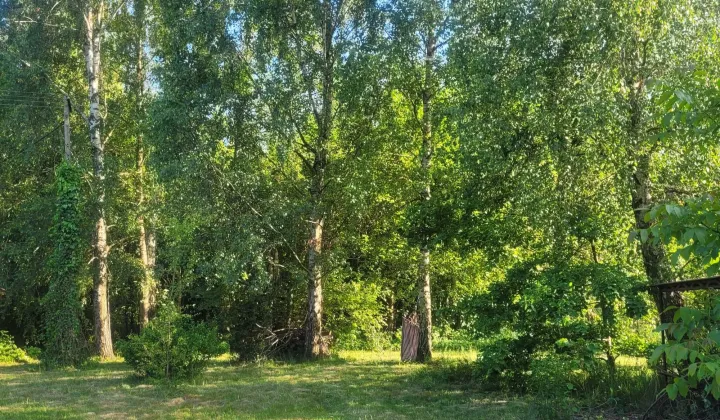 Działka budowlana Łobódź