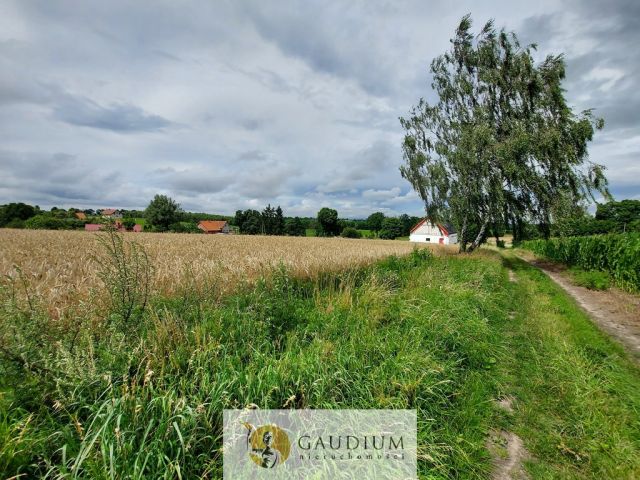 Działka budowlana Przezmark. Zdjęcie 12