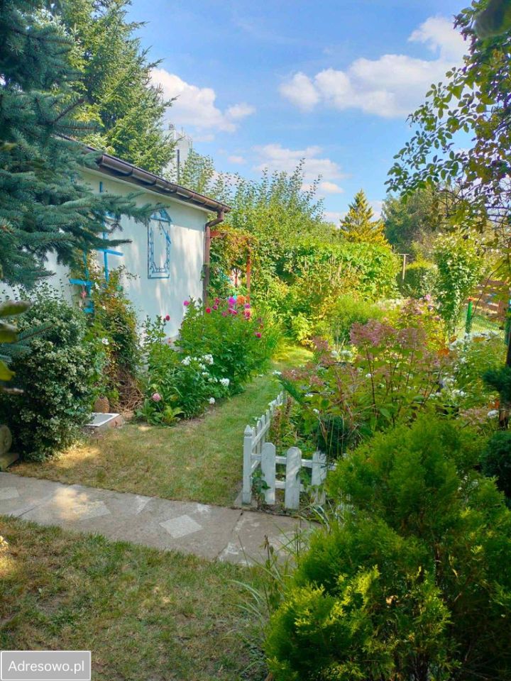 Działka rod Sosnowiec Pogoń, ul. Lwowska. Zdjęcie 5