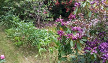 Działka rekreacyjna Szałe, Wschodnia