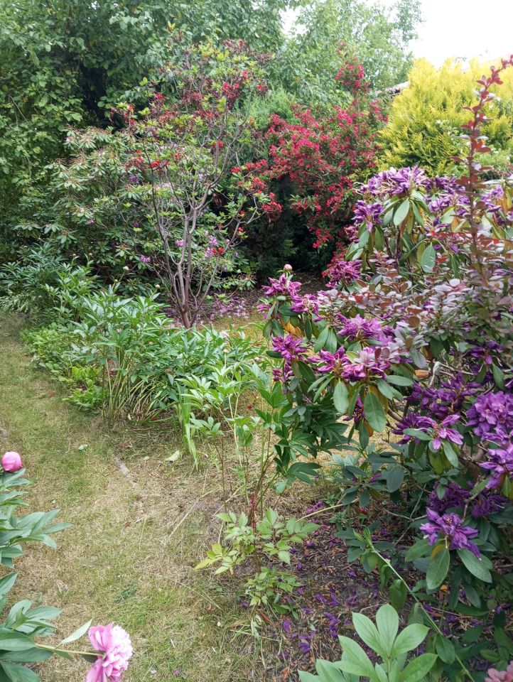 Działka rod Szałe. Zdjęcie 2