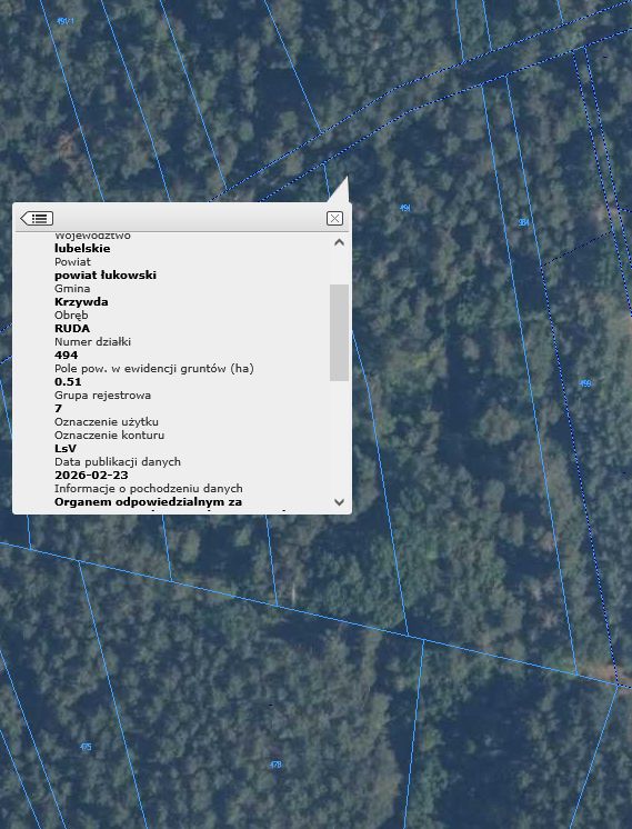 Działka leśna Ruda. Zdjęcie 1