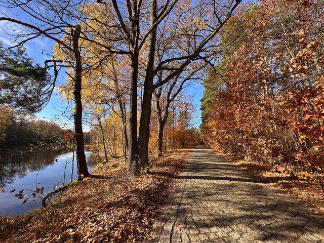 Działka budowlana Chełmica. Zdjęcie 1