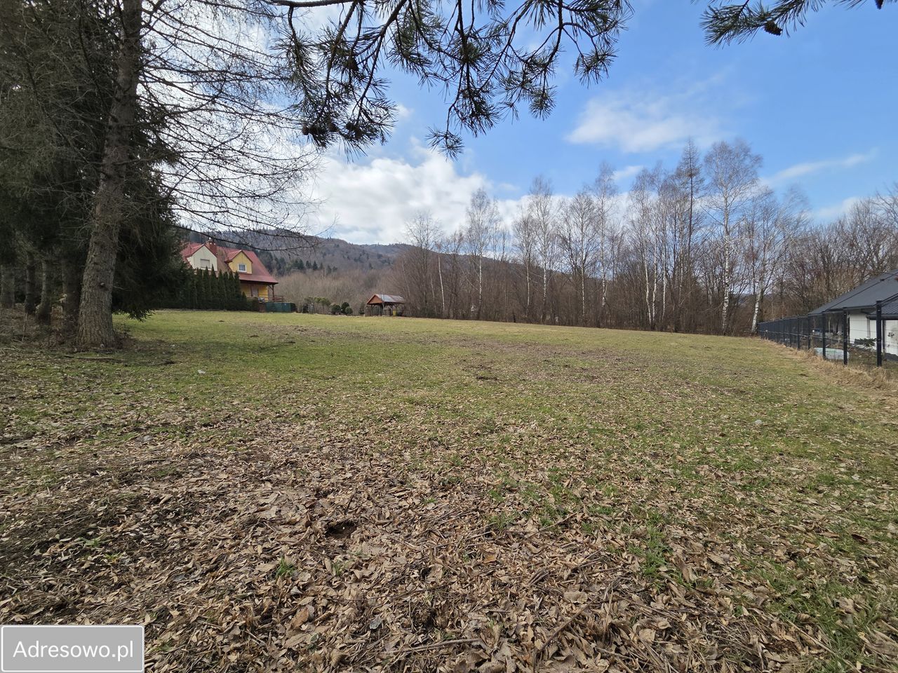 Działka inwestycyjna Łosie. Zdjęcie 4