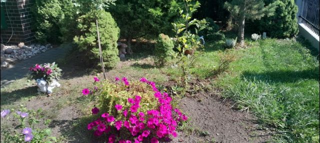 Działka rekreacyjna Wrocław Stare Miasto, ul. Marcina Kasprzaka. Zdjęcie 1