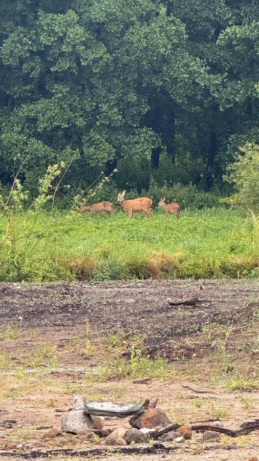 bliźniak, 4 pokoje Reda, ul. Warzywnicza. Zdjęcie 10