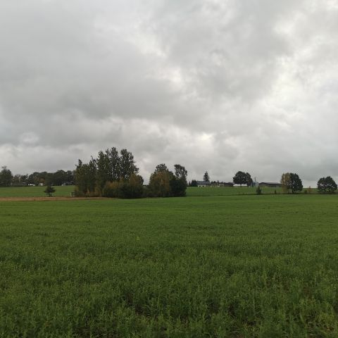 Działka budowlana Łąkie. Zdjęcie 17