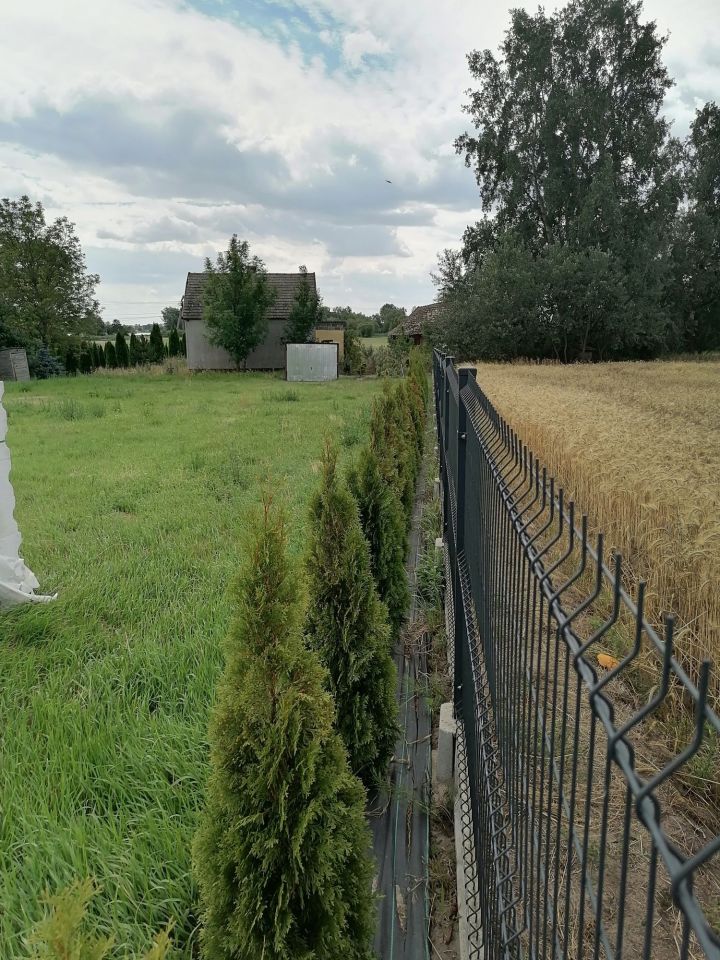 Działka budowlana Żółcza Ugory. Zdjęcie 7