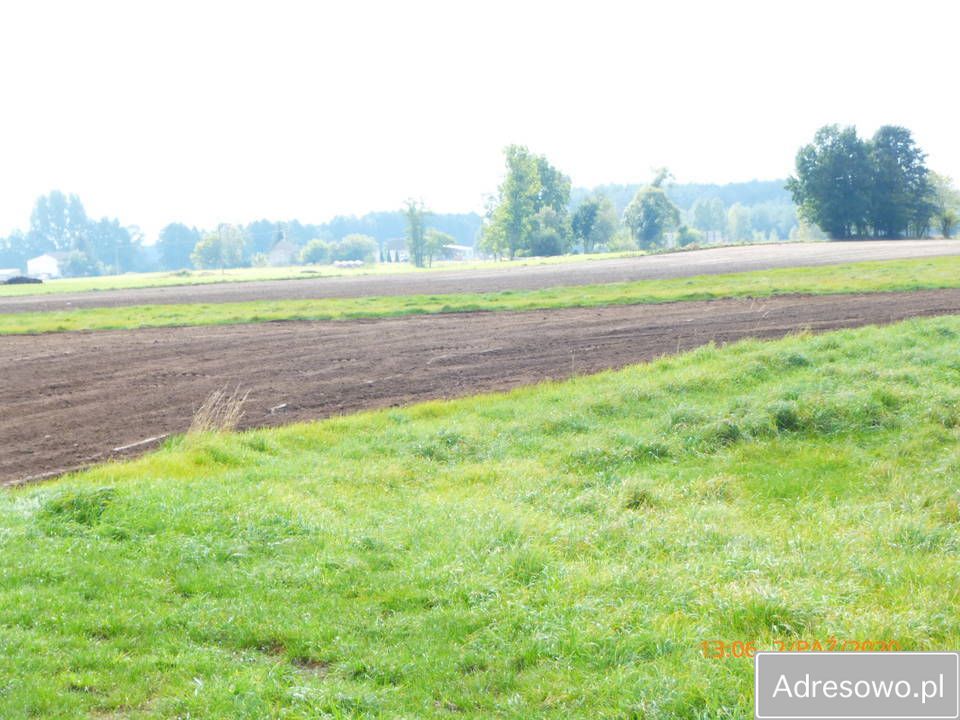 Działka rolna Cegielnia. Zdjęcie 7