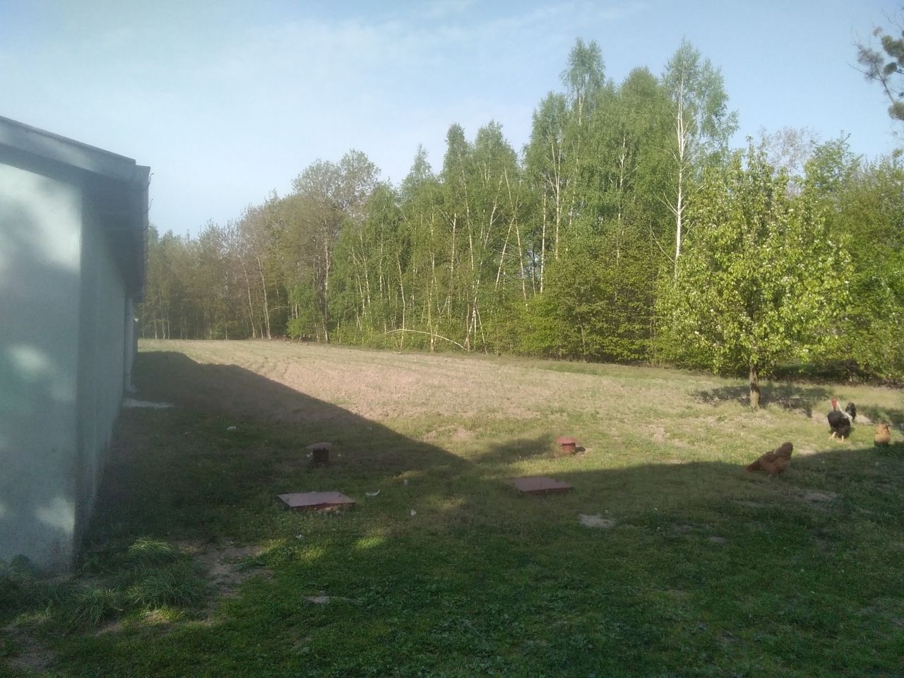 gospodarstwo, 4 pokoje Helenów. Zdjęcie 13