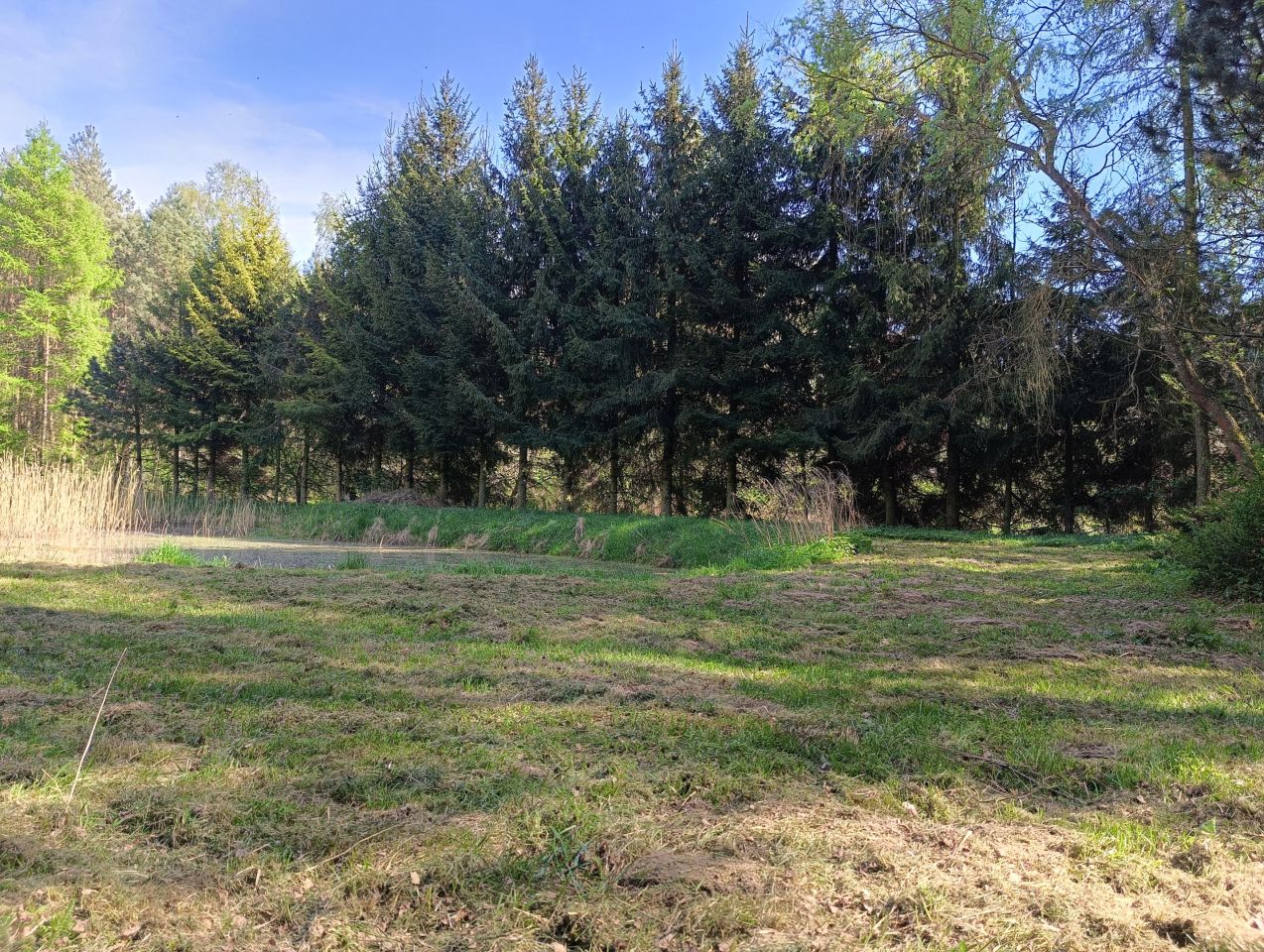 Działka budowlana Kopyść. Zdjęcie 5