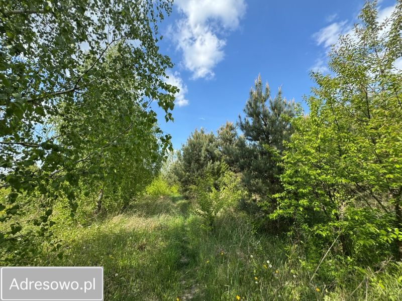 Działka budowlana Krzyszkowo, ul. Polna