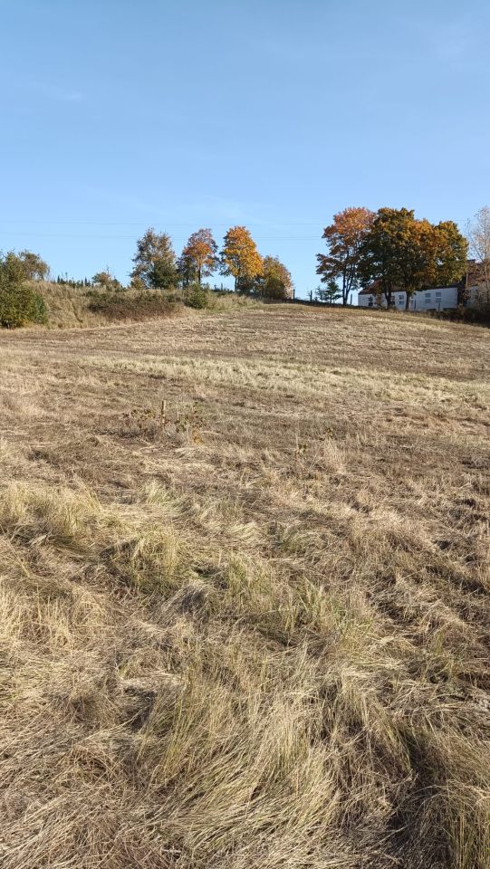 Działka budowlana Strączno. Zdjęcie 11