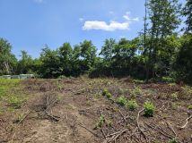 Działka rolna Pustynia. Zdjęcie 4