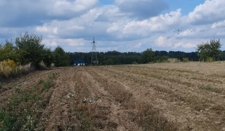 Działka budowlana Rosanów