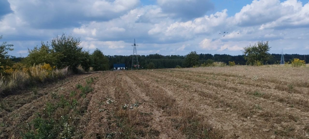 Działka budowlana Rosanów. Zdjęcie 1