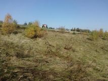 Działka budowlana Roztoka-Brzeziny Szarysz. Zdjęcie 4