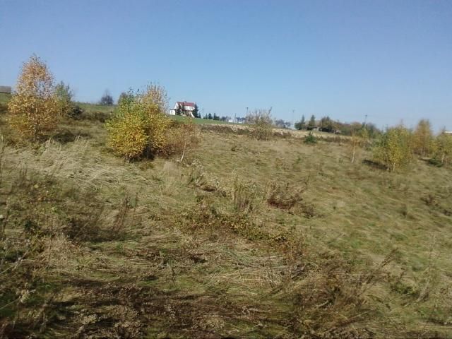 Działka budowlana Roztoka-Brzeziny Szarysz. Zdjęcie 5