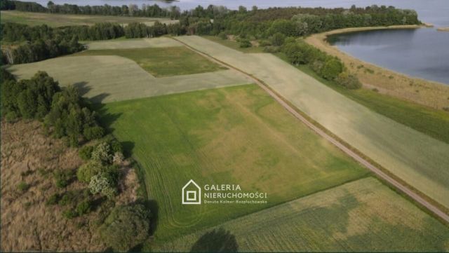 Działka rolna Wiekowo. Zdjęcie 10