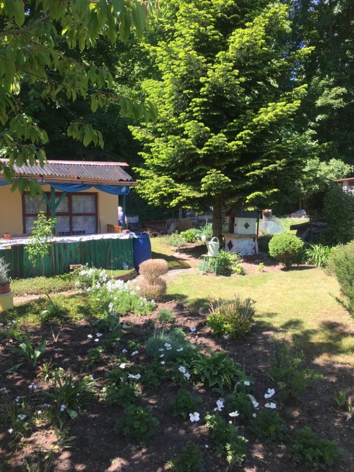 Działka rod Chełmno. Zdjęcie 6