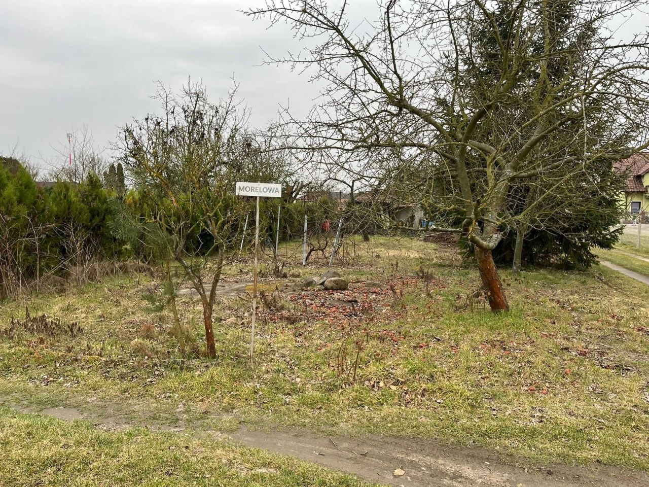 Działka rod Międzychód, ul. Napoleona Rutkowskiego. Zdjęcie 4