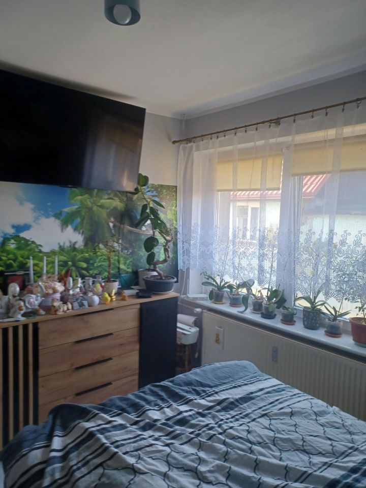 bliźniak, 2 pokoje Pęckowo, ul. Noja. Zdjęcie 2