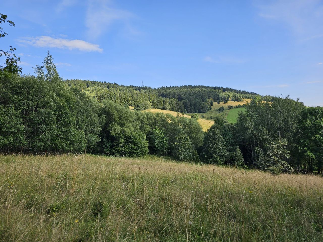 Działka budowlana Sierpnica, ul. Świerkowa. Zdjęcie 3
