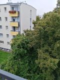 Mieszkanie 3-pokojowe Luboń, ul. Żabikowska. Zdjęcie 3