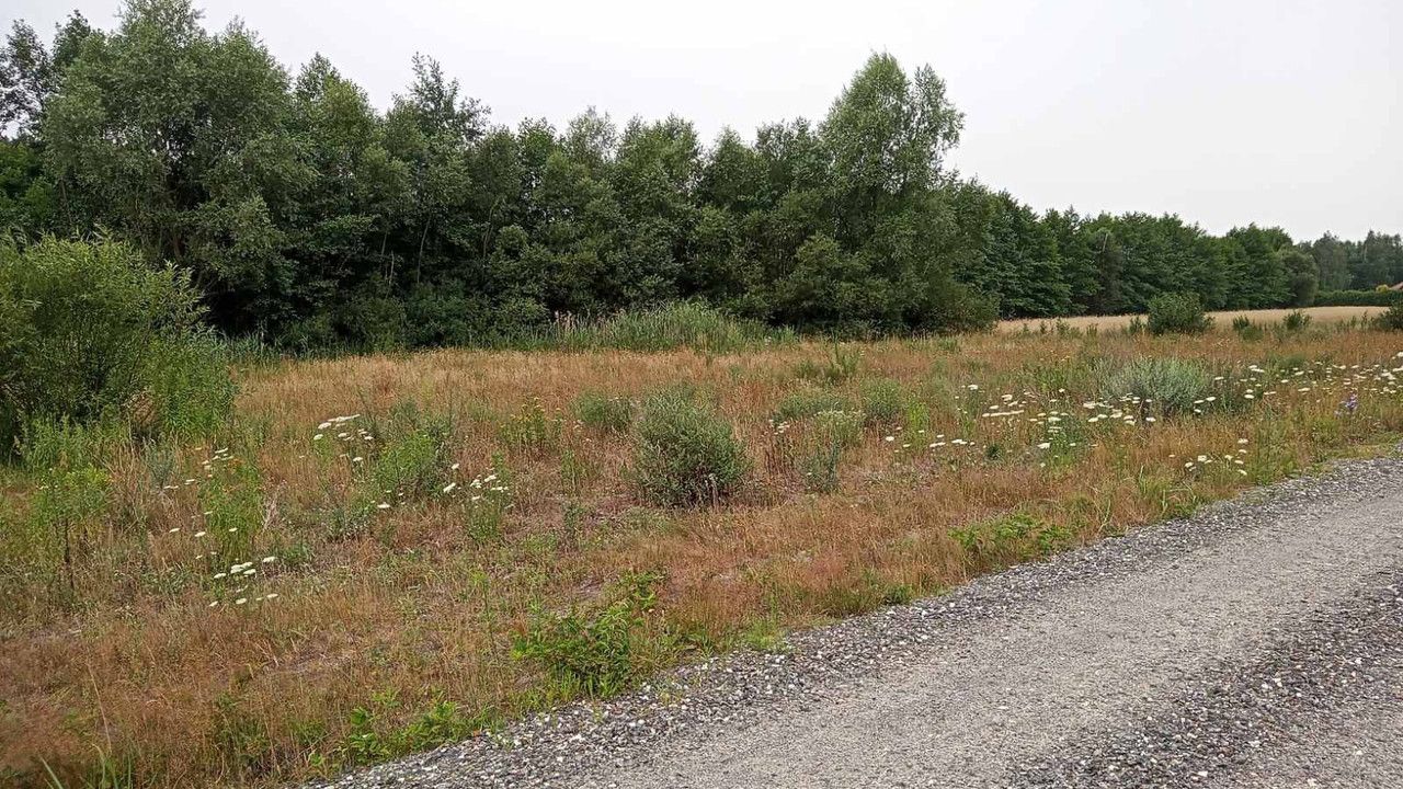 Działka budowlana Karolew. Zdjęcie 7