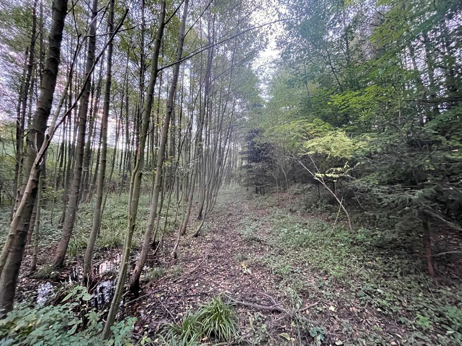 Działka budowlana Podgrodzie. Zdjęcie 8