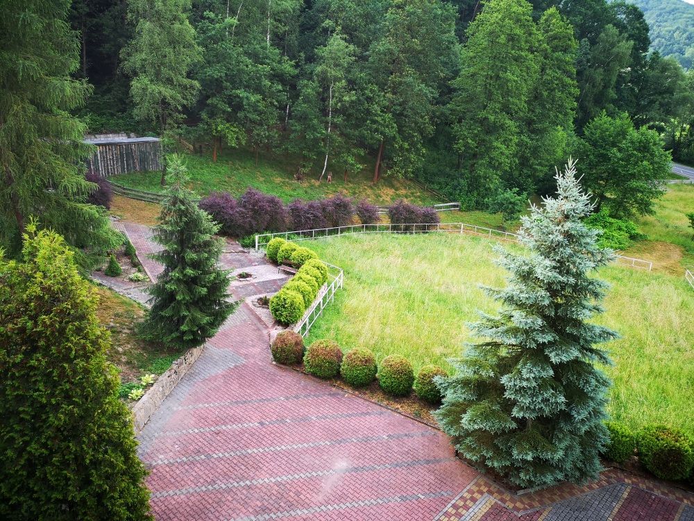 Lokal Chojnik. Zdjęcie 18