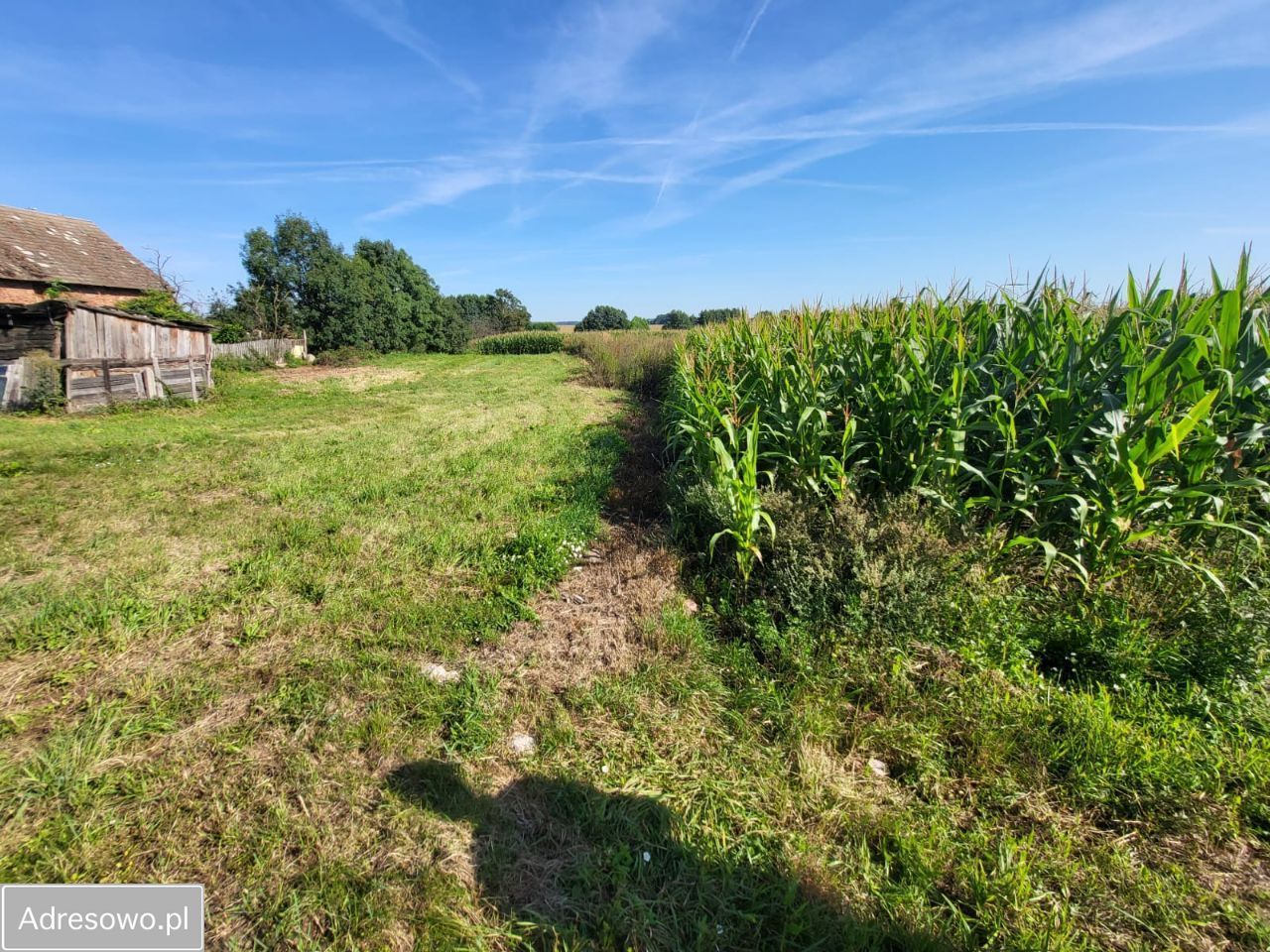 Hala/magazyn Latkowa. Zdjęcie 7