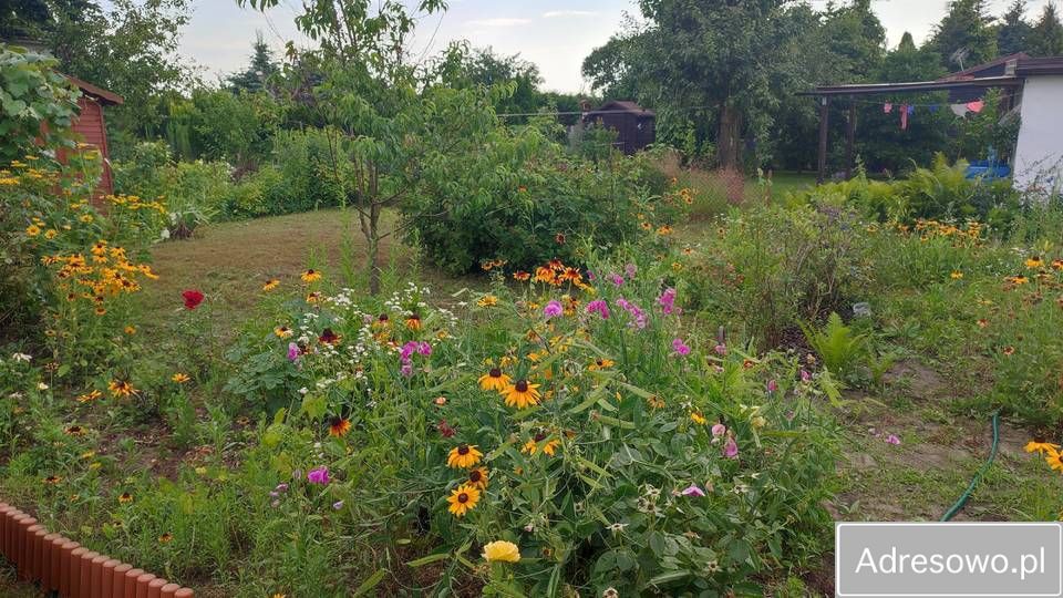 Działka rod Rumin. Zdjęcie 3