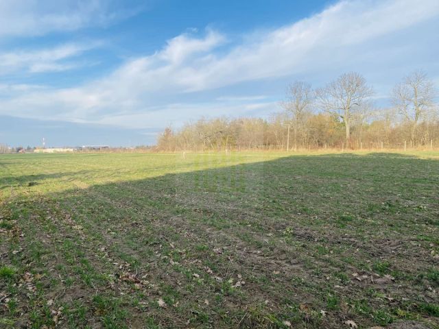 Działka budowlana Dębówka. Zdjęcie 2